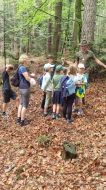 2025.07.23_-_0002_-_Wild-Wald-_und_Jagderlebnistag_für_Ferienkinder_in_Anger