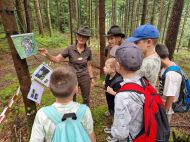 2025.07.23_-_0005_-_Wild-Wald-_und_Jagderlebnistag_für_Ferienkinder_in_Anger