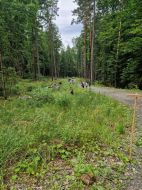 2025.07.23_-_0006_-_Wild-Wald-_und_Jagderlebnistag_für_Ferienkinder_in_Anger