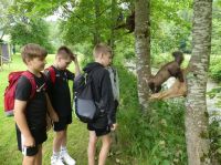 2024.06.14_-_0011_-_Wald_Jagderlebnistag_Ratten