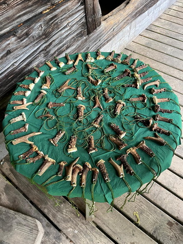 2025.05.23   0003   Volksschulkinder Mit Jaegern Im Revier