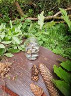 2025.05.23_-_0009_-_Volksschulkinder_mit_Jaegern_im_Revier